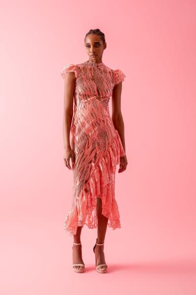 Frederick Anderson 2026早秋004